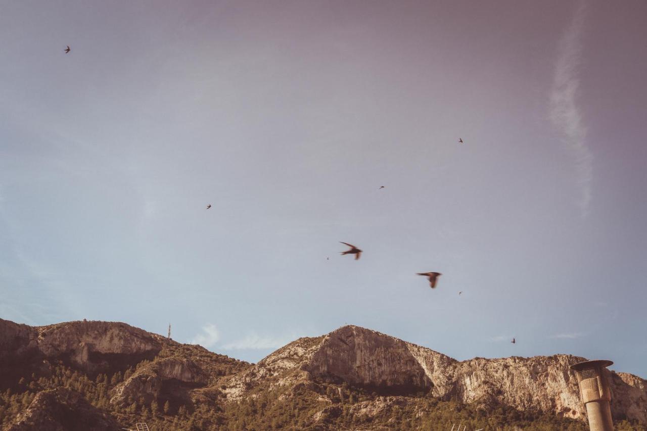 Ca La Tendeta Tivissa Buitenkant foto